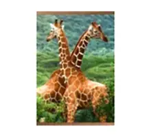Пленочный обогреватель Домашний очаг Жирафы